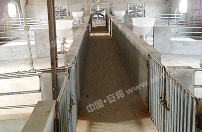 畜牧養(yǎng)殖場(chǎng)內(nèi)部分布