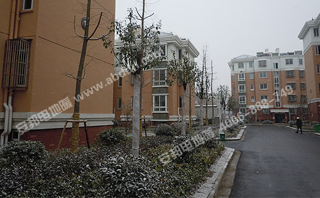 �hУ��^(q��)ѩ����2012��12��26�գ����b늵�ů��һ������?sh��)������˽񶬵�һ���? width=