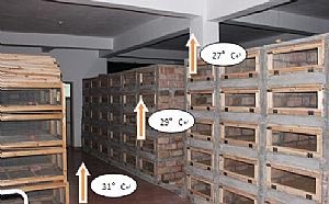 �l(f��)����|�����ů�ضȷֲ��D