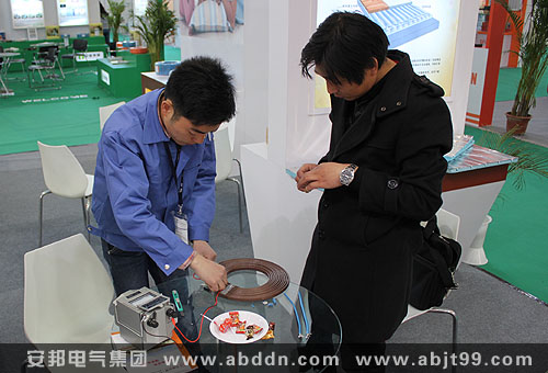 發(fā)熱電纜電地暖技術(shù)交流現(xiàn)場(chǎng)圖