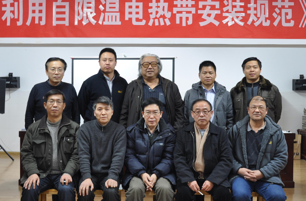 標(biāo)準(zhǔn)審定會專家合影