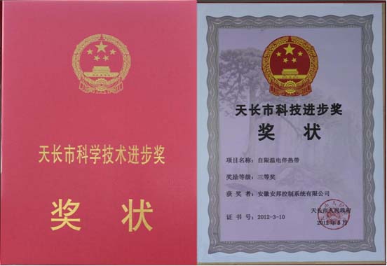 科技進(jìn)步獎(jiǎng)三等獎(jiǎng)