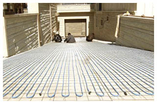 ��·��ѩ����